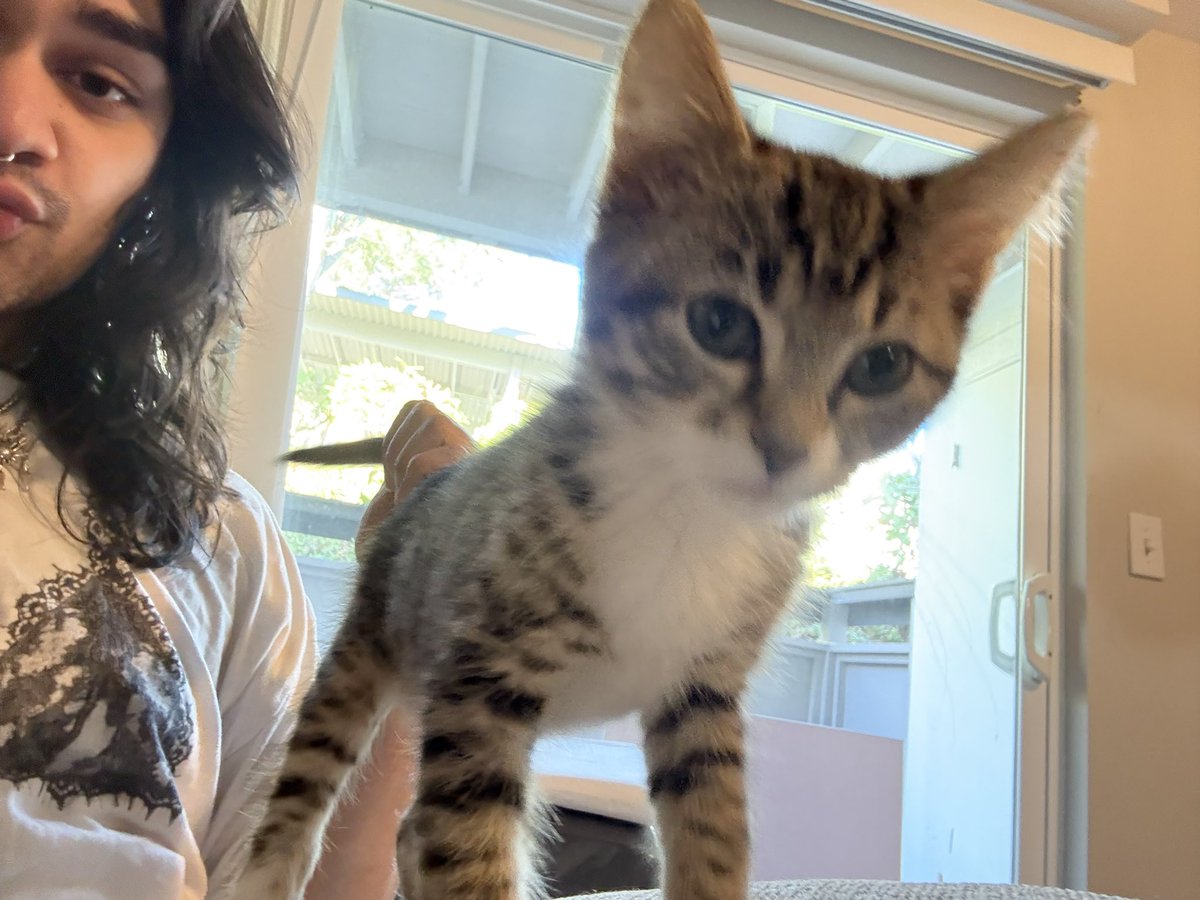 SEM™️ tweet media