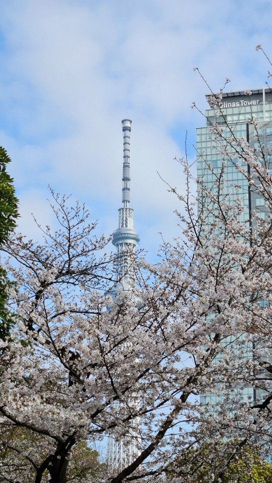 BOKEN🍀一般財団法人ボーケン品質評価機構🐶🍀 tweet media