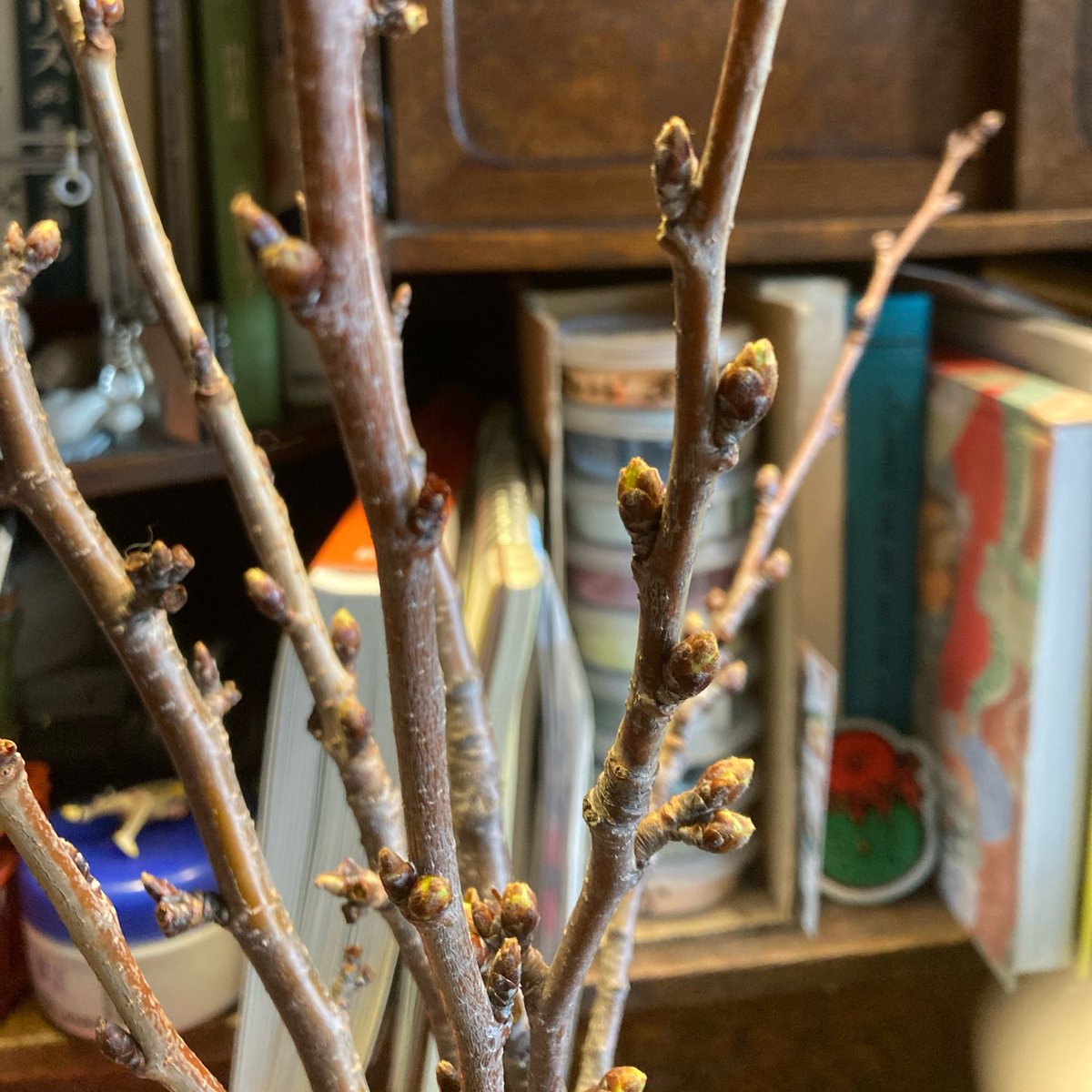 袋小路K♨️ tweet media