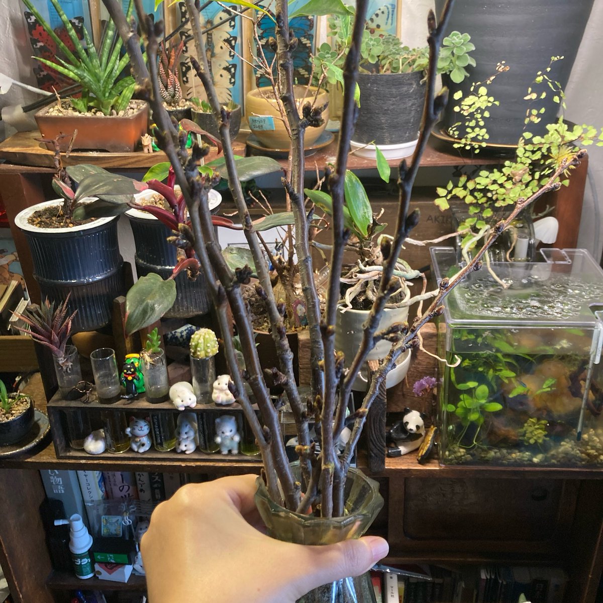 袋小路K♨️ tweet media