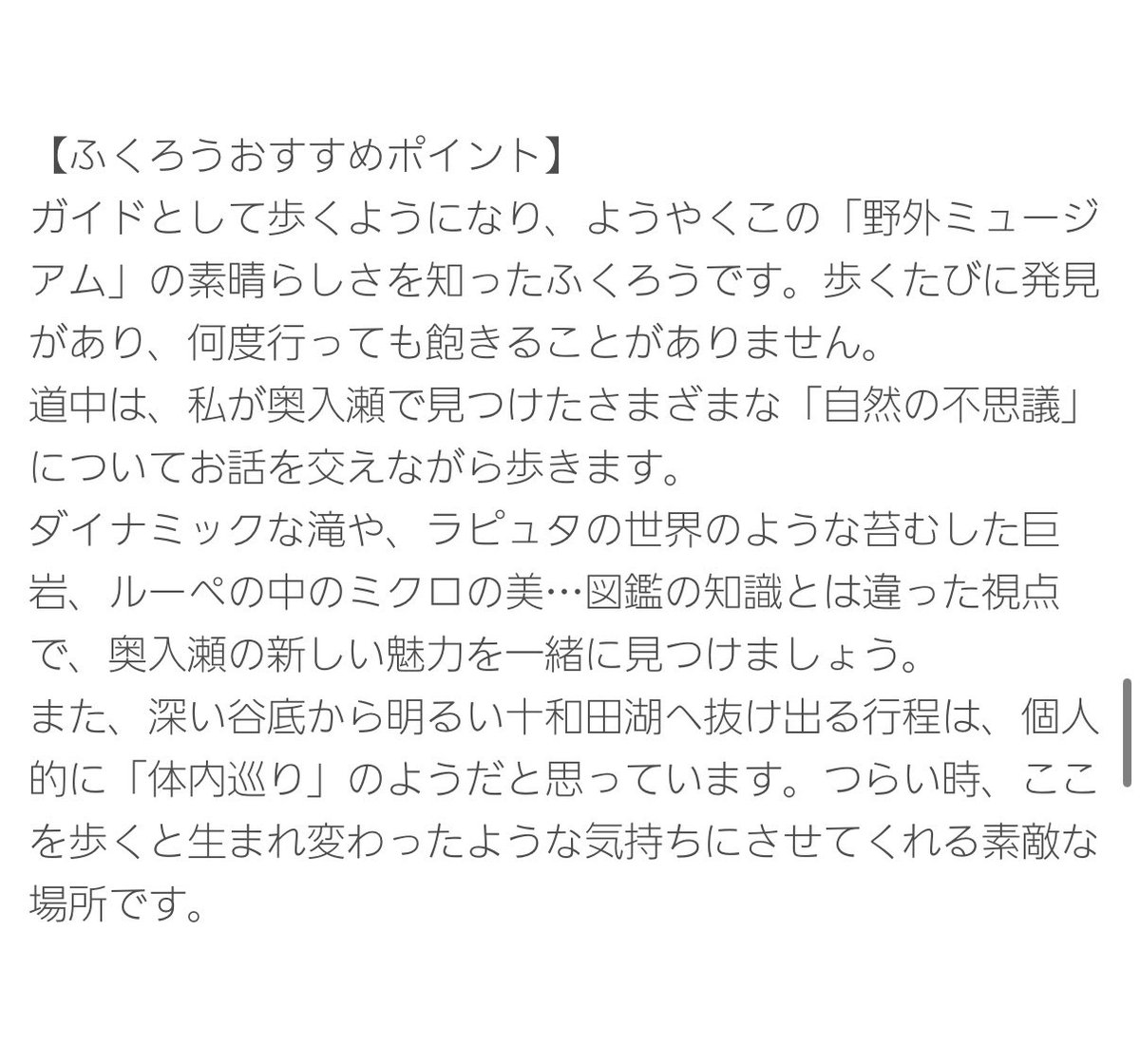 ふくろう tweet media