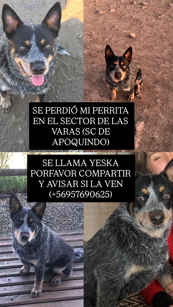 Patricia tweet media