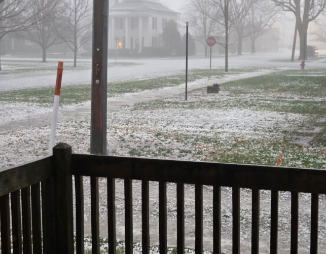 🐣🌷 Handsome Henry 🌷🐣 tweet media