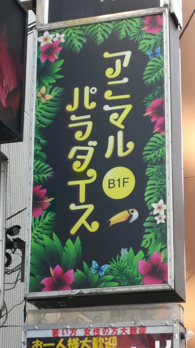 ぽぴ王子 tweet media