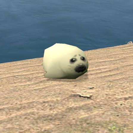 alyssa 🦭 tweet media