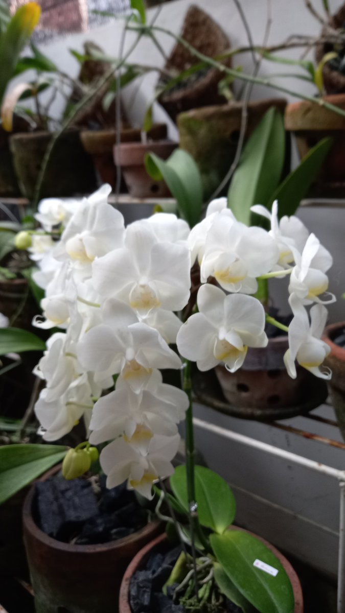 Sweet mommy tweet media