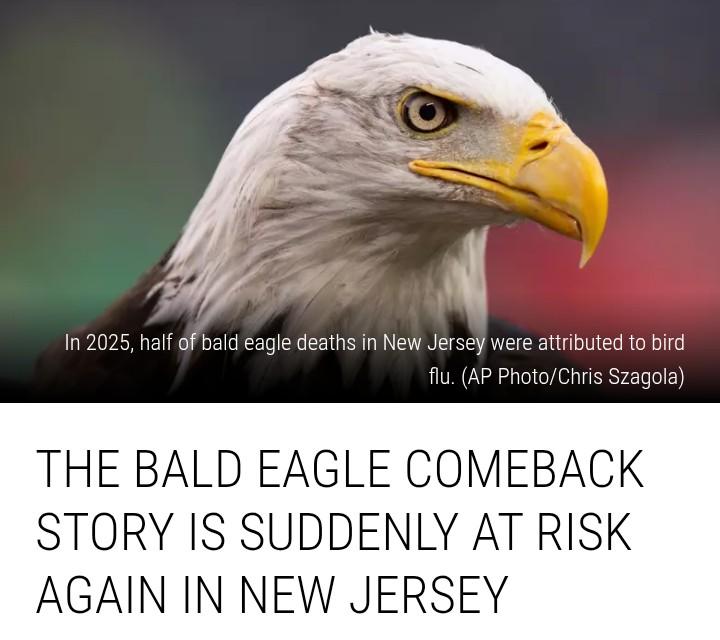 Wake Up NJ 🇺🇸 New Jersey tweet media