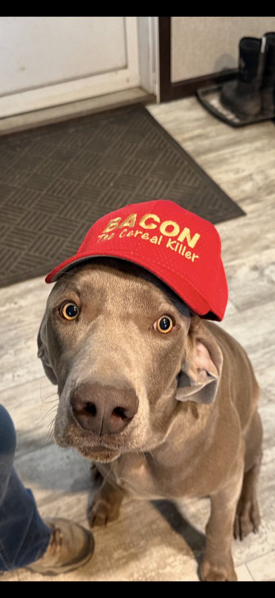 Auction Time Dallas tweet media