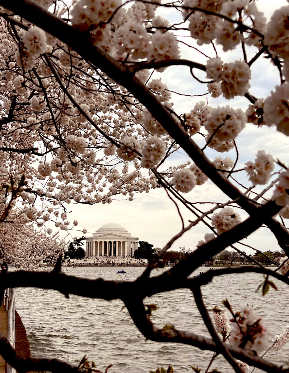 Milena Rodban tweet media