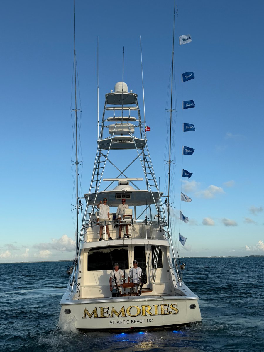 Billfish Report tweet media