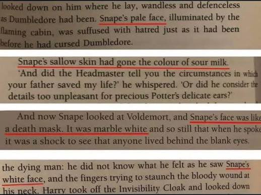 OfMiceAndPanda🐼 tweet media