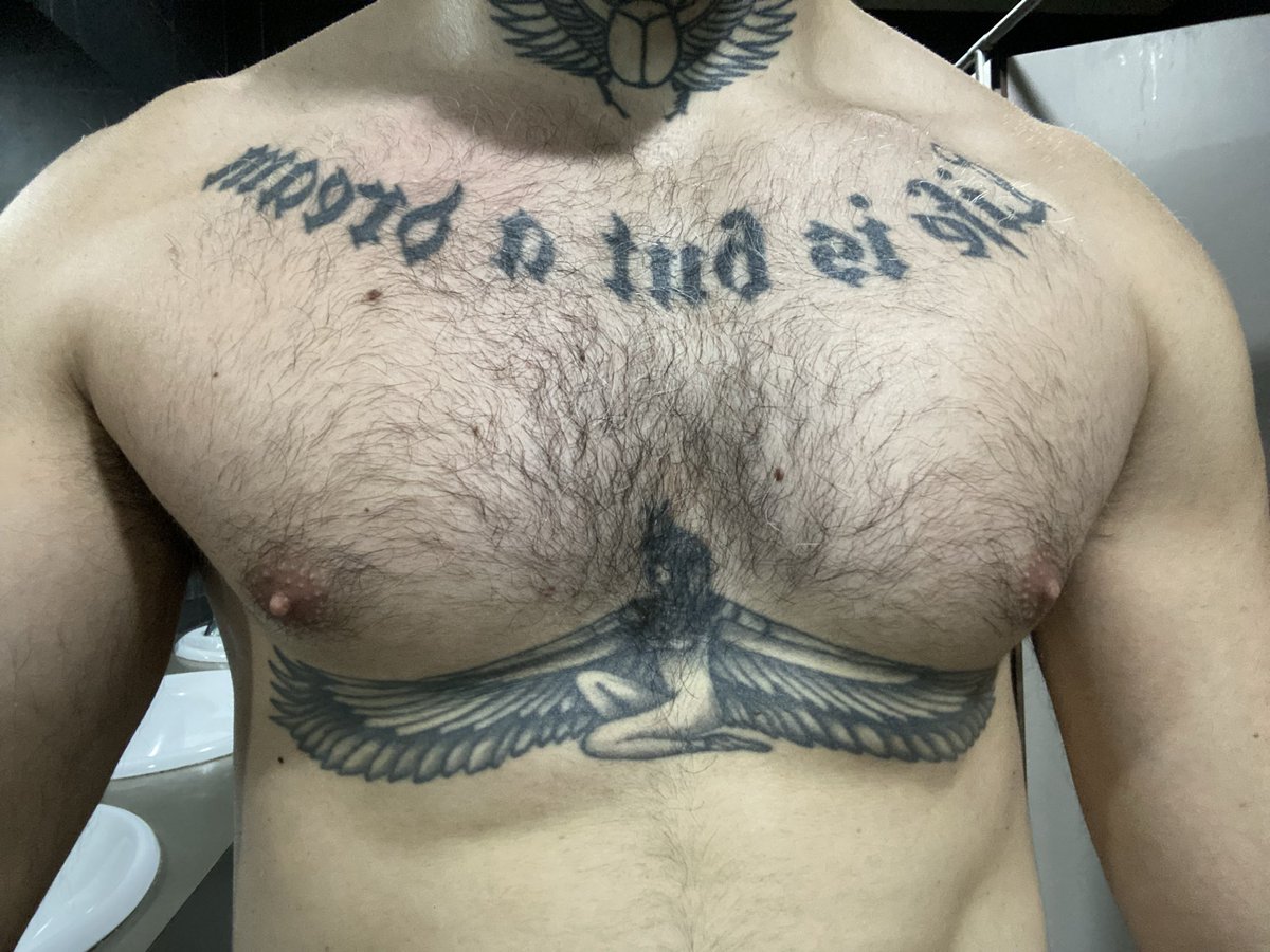 🪽L U X🪽 tweet media