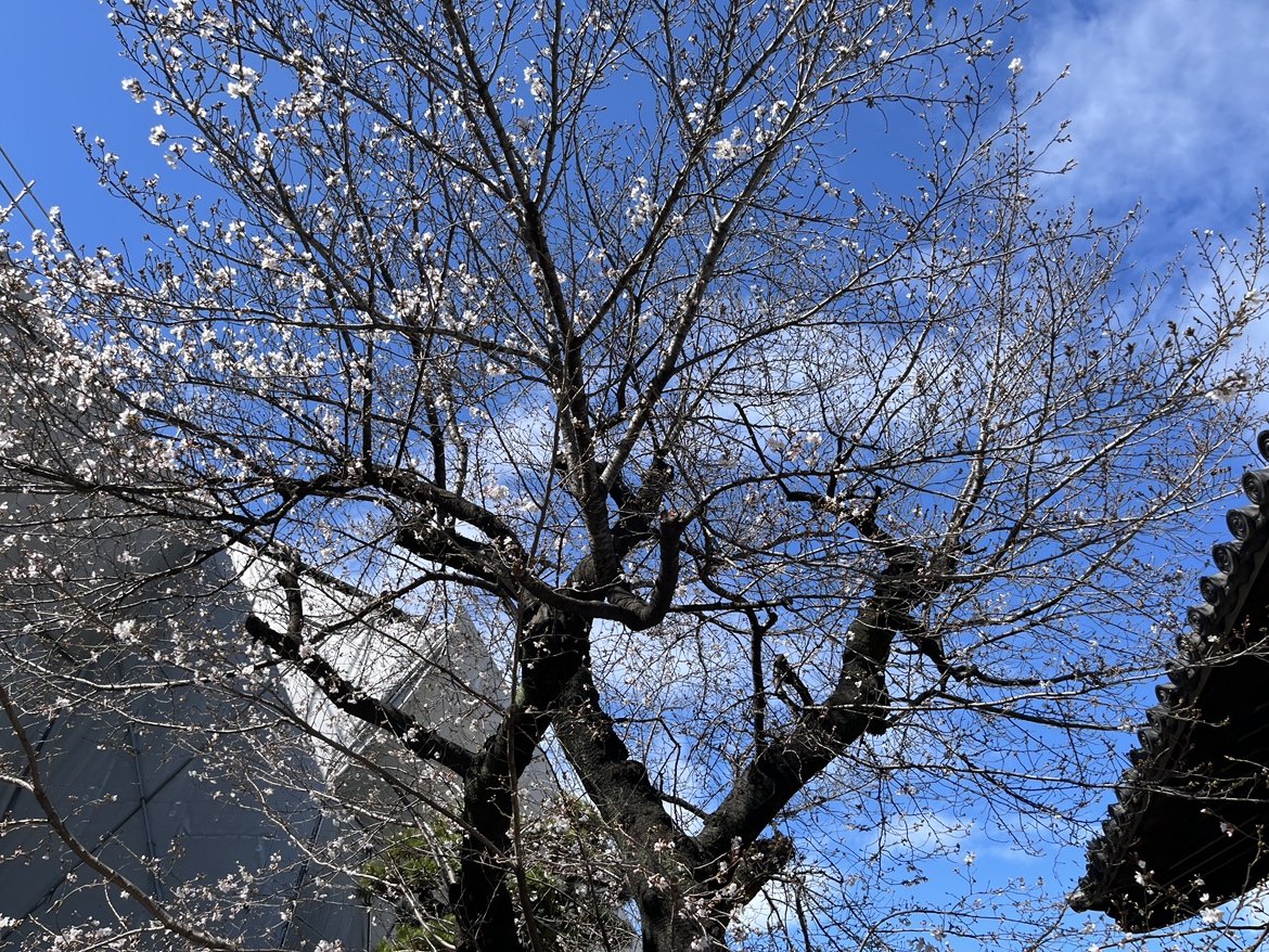 関電エネルギーソリューション　広報担当 tweet media