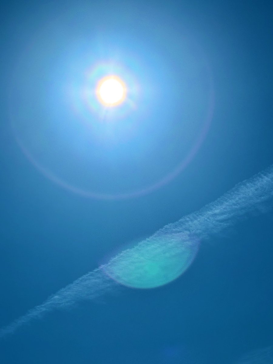 かおり れっさ🧡けもののおう👑 tweet media