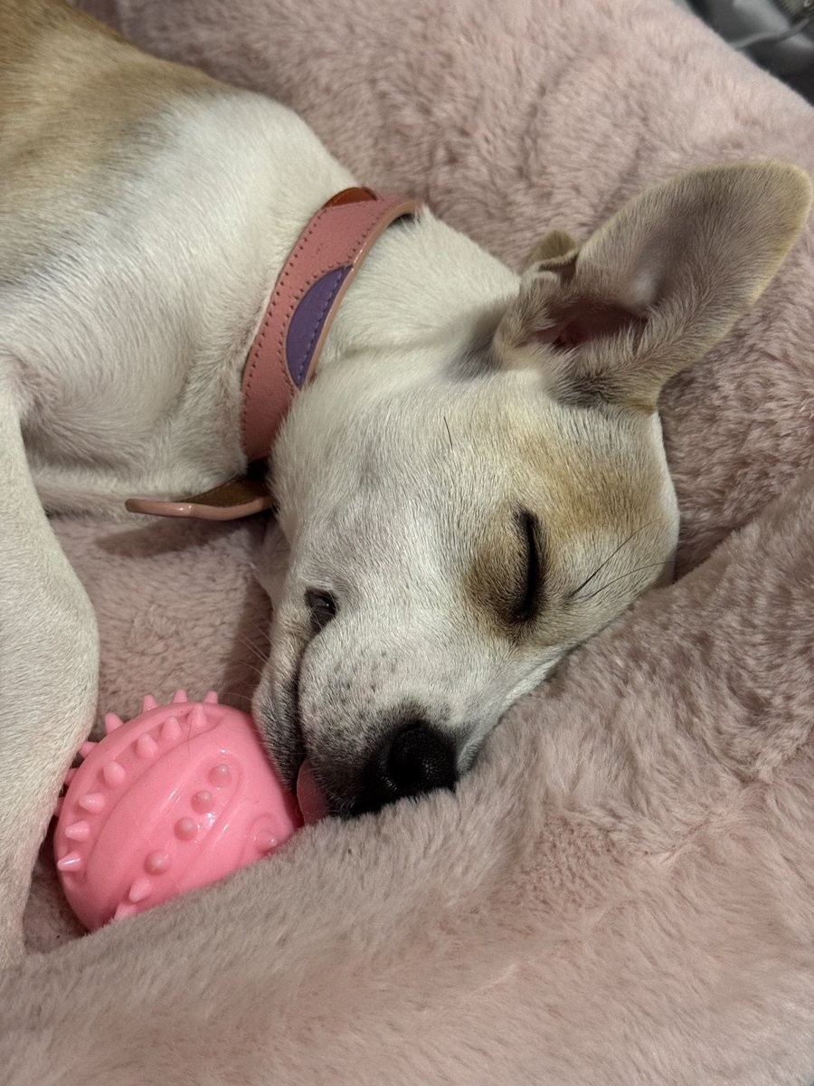 kb (lil florida) tweet media