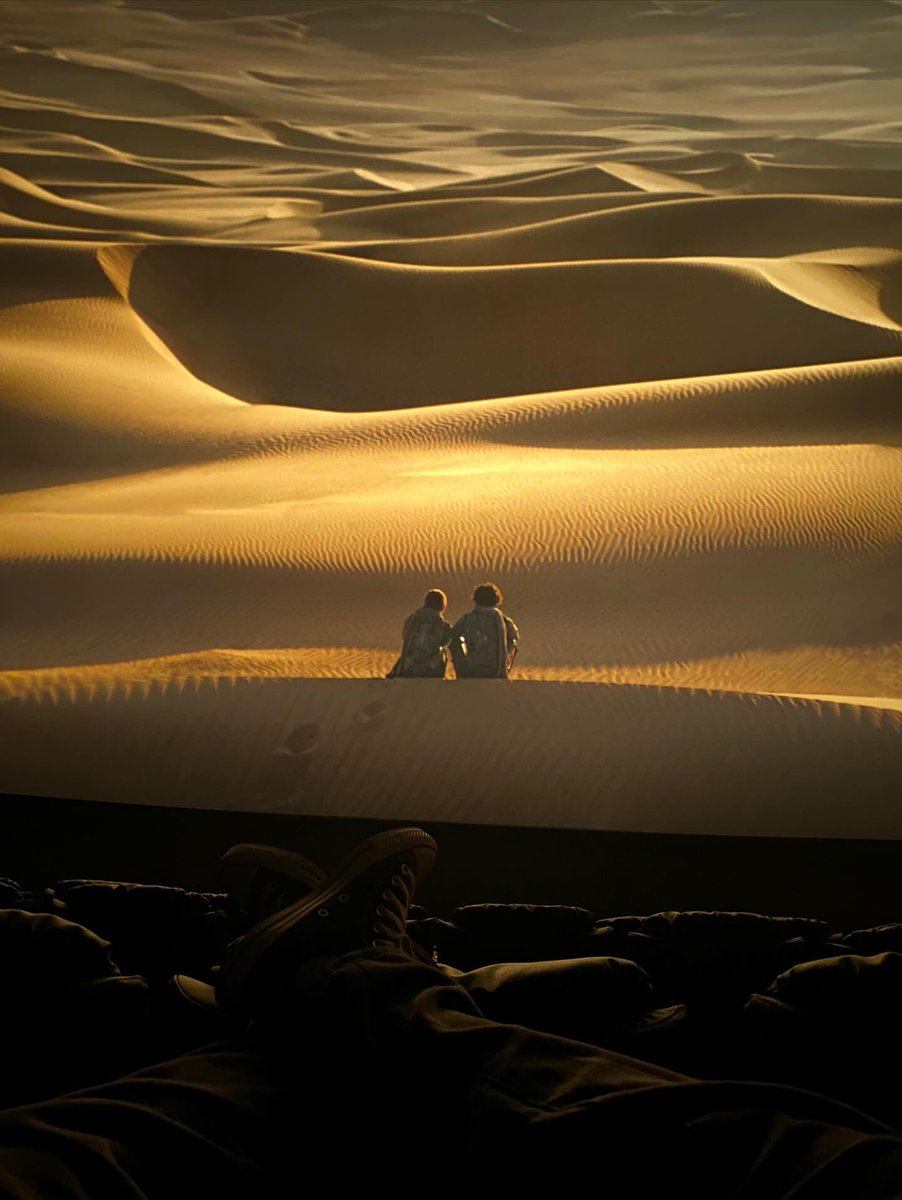 wsam 💫 tweet media