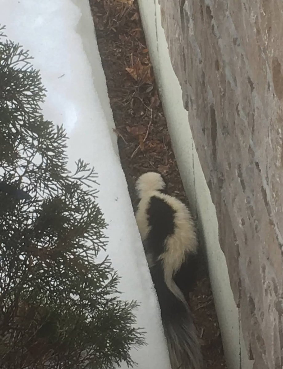 N.I.B. ®¯\__/¯ tweet media