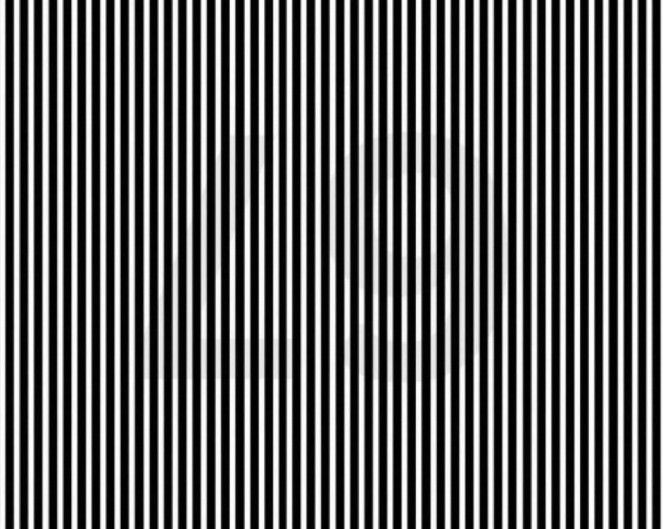 Honey 🛼 tweet media