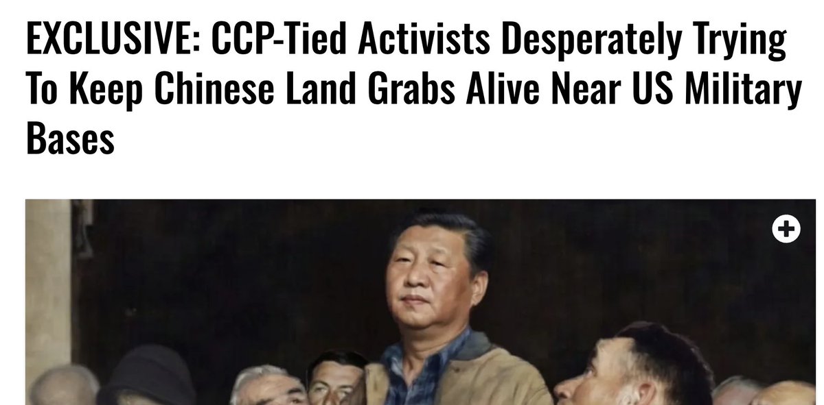 Steve Guest tweet media