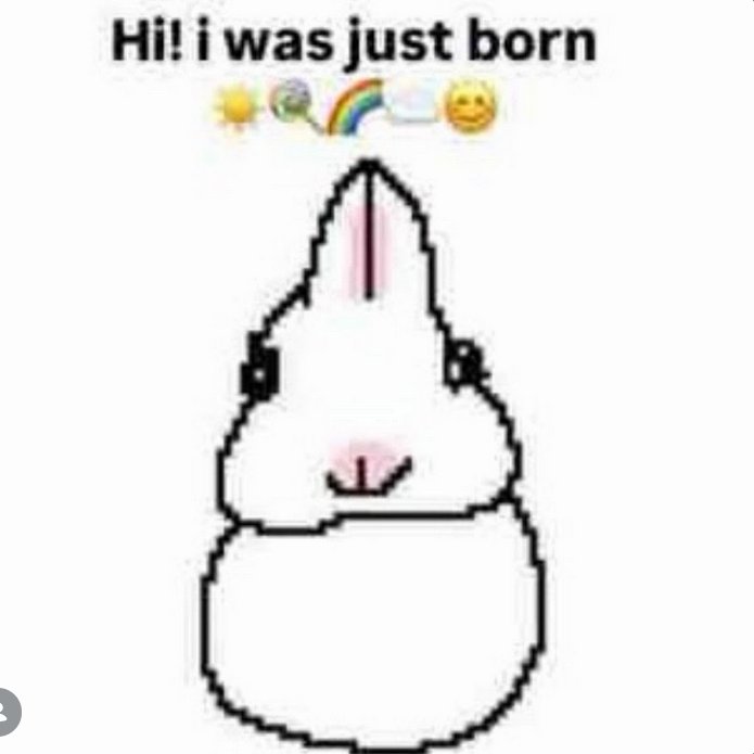 ˙ ͜ʟ˙ fry tweet media