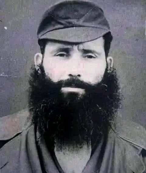 The Amazigh Spider-Man tweet media