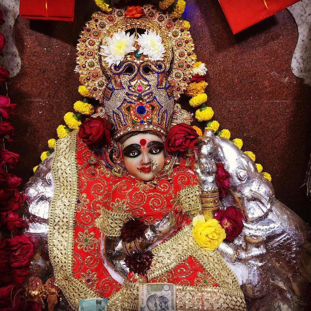 Dr Mohan Yadav tweet media