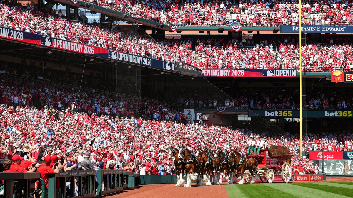 St. Louis Cardinals tweet media