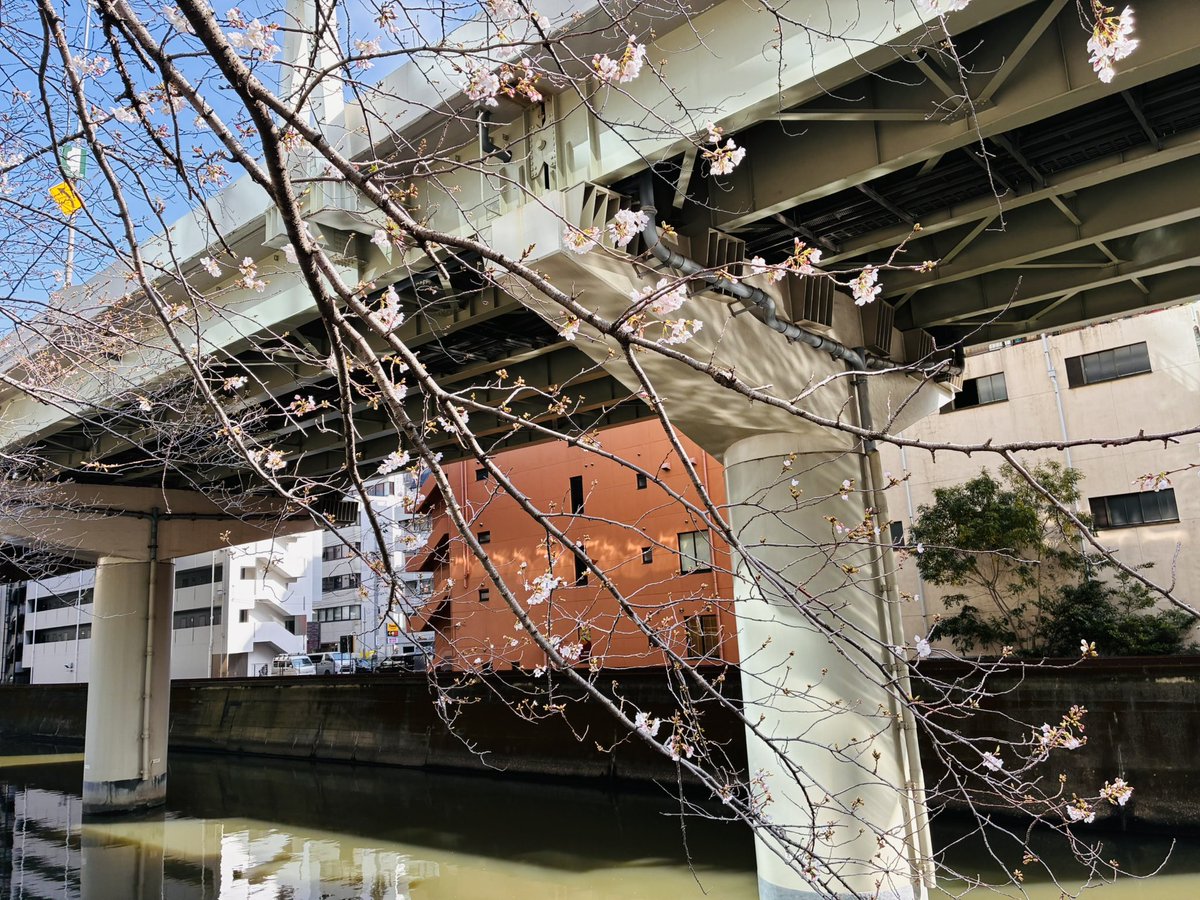 マックシステム株式会社 tweet media