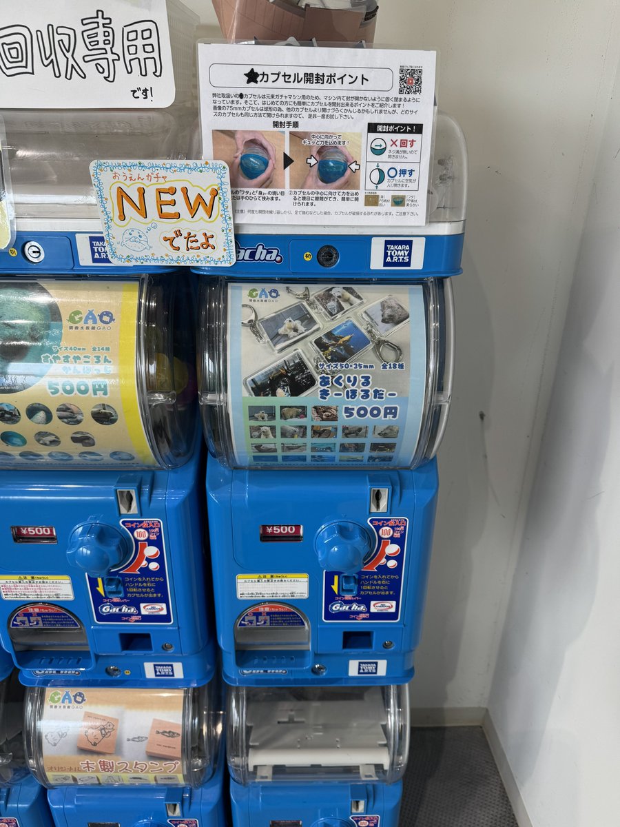 bui🐈🦭 tweet media