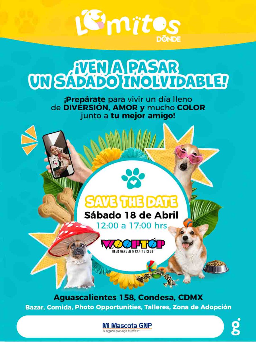 DÓNDE IR tweet media