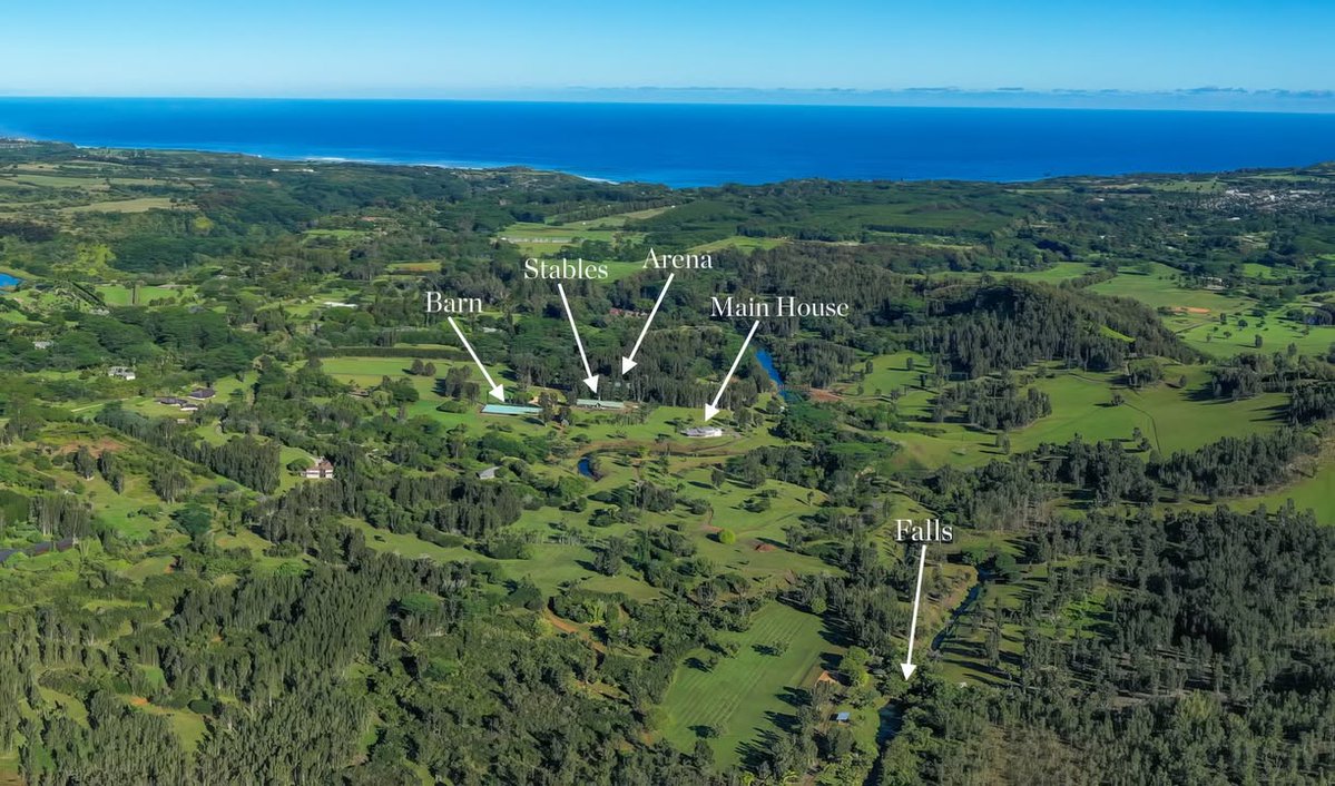 Hawaiʻi Life tweet media