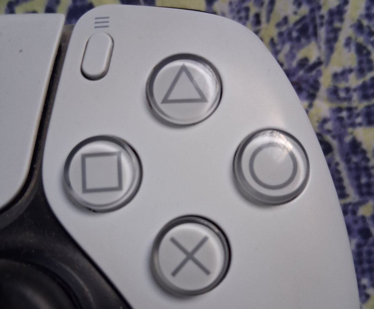 Tails Crossing 🇲🇽 ☠️🏵 tweet media