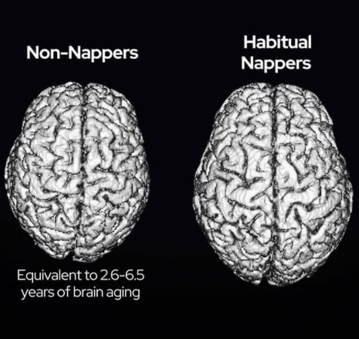 Based Therapist | Marchese Methods tweet media