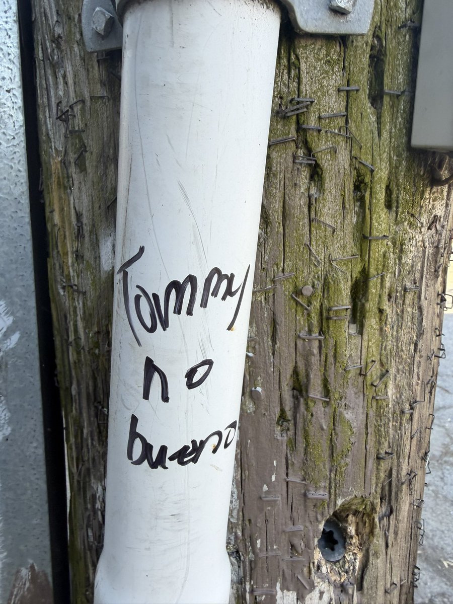 Tommyboi4209 tweet media