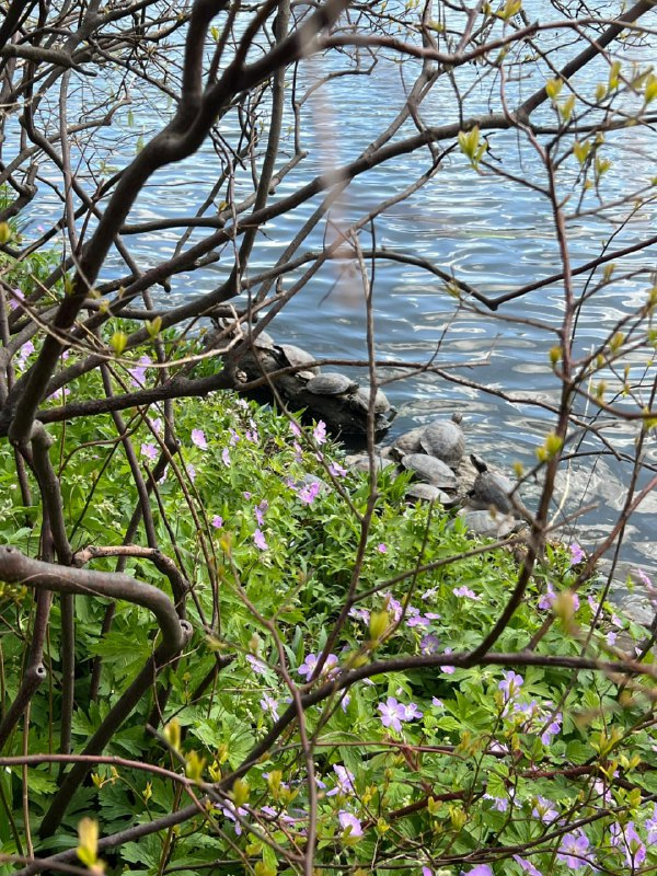 bn_freda's tweet photo. Spring is here, and all things are coming back to life. https://t.co/onkWX5Na8w