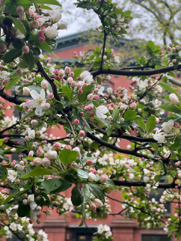 bn_freda's tweet photo. Spring is here, and all things are coming back to life. https://t.co/onkWX5Na8w