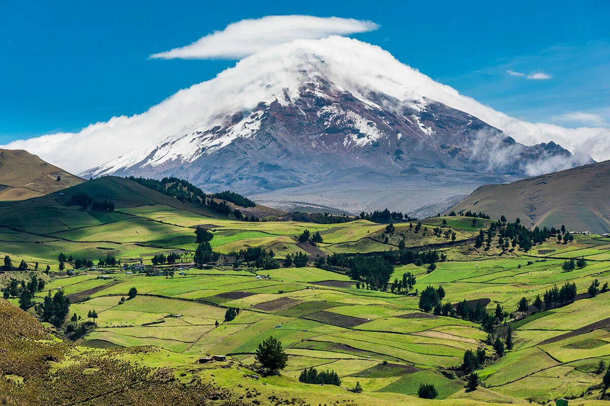 Vanguardia – Acción y Patria 🇨🇴 tweet media