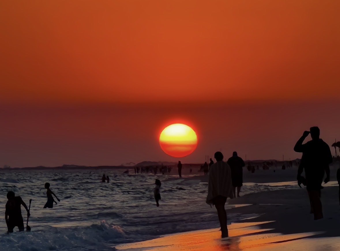 Porter Johnson tweet media