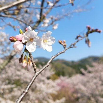 株式会社クラスアクト【公式】未経験エンジニア積極採用中 tweet media