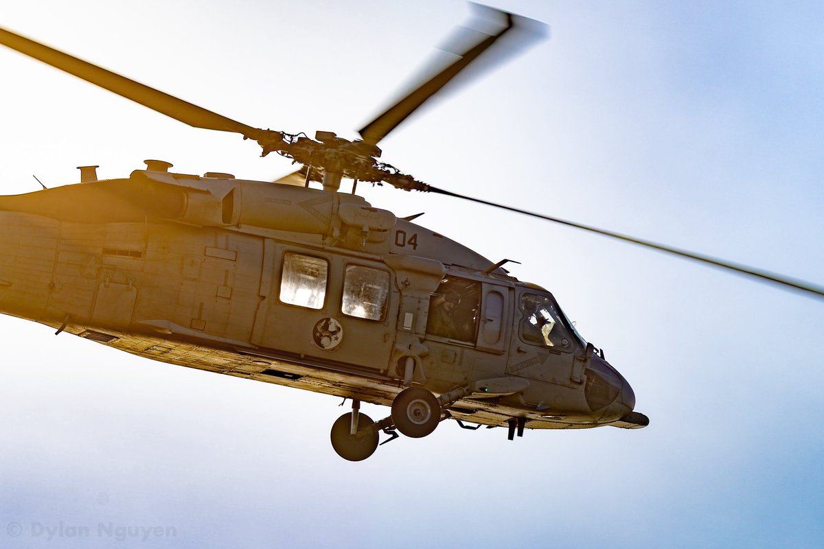 Dylan Nguyen tweet media