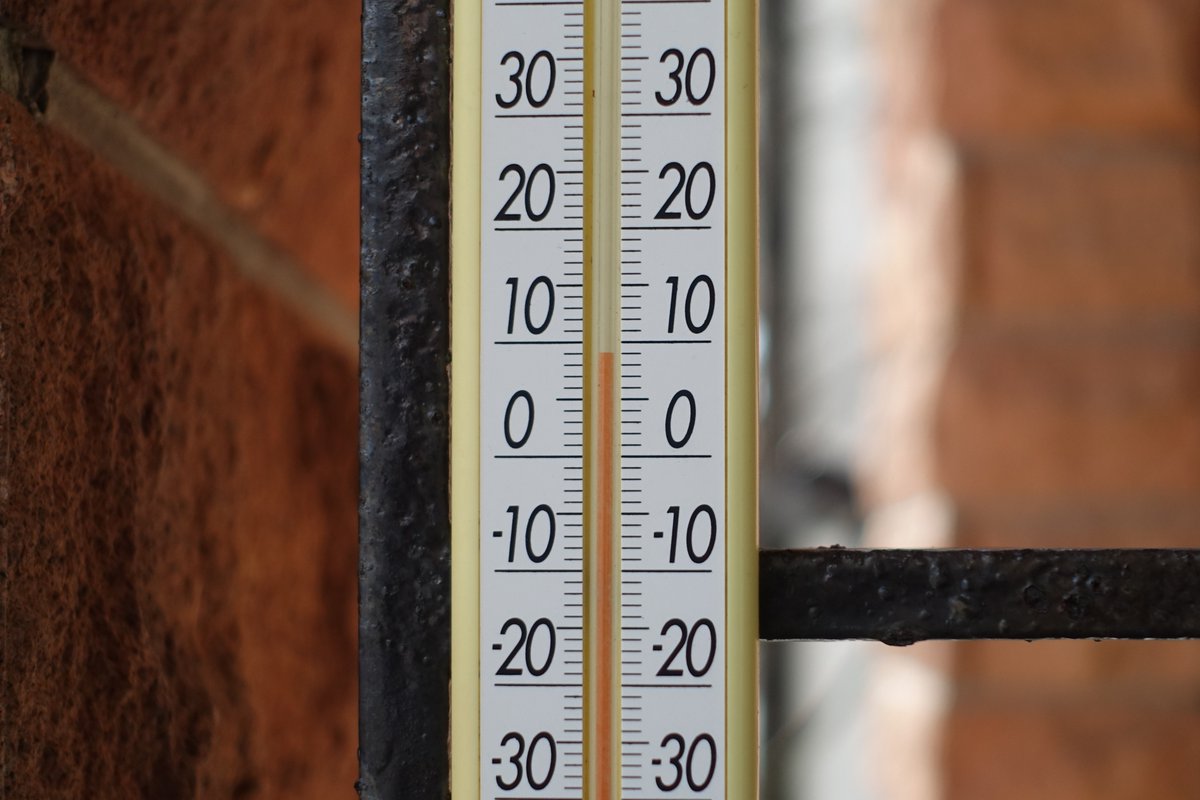 那須町観光協会 tweet media