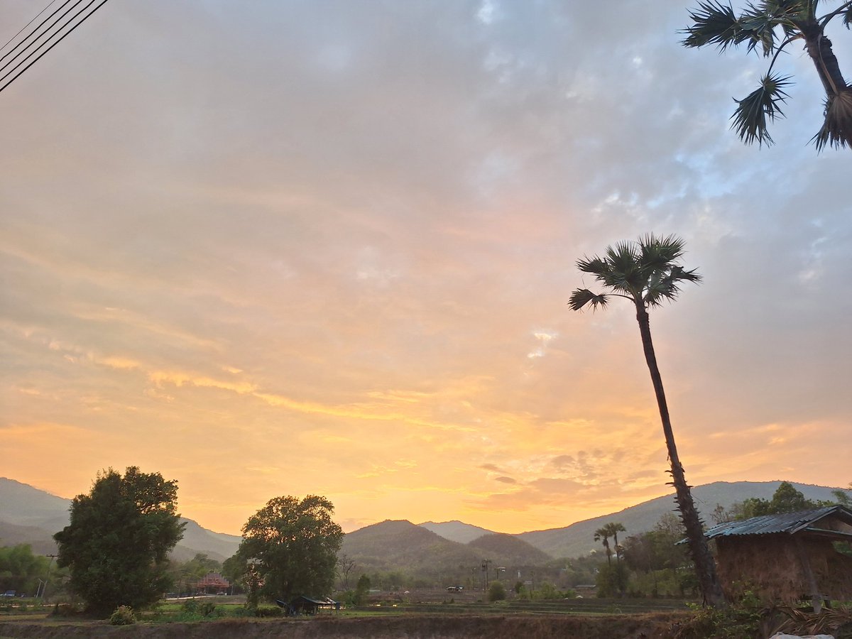 Sailen Hajong tweet media