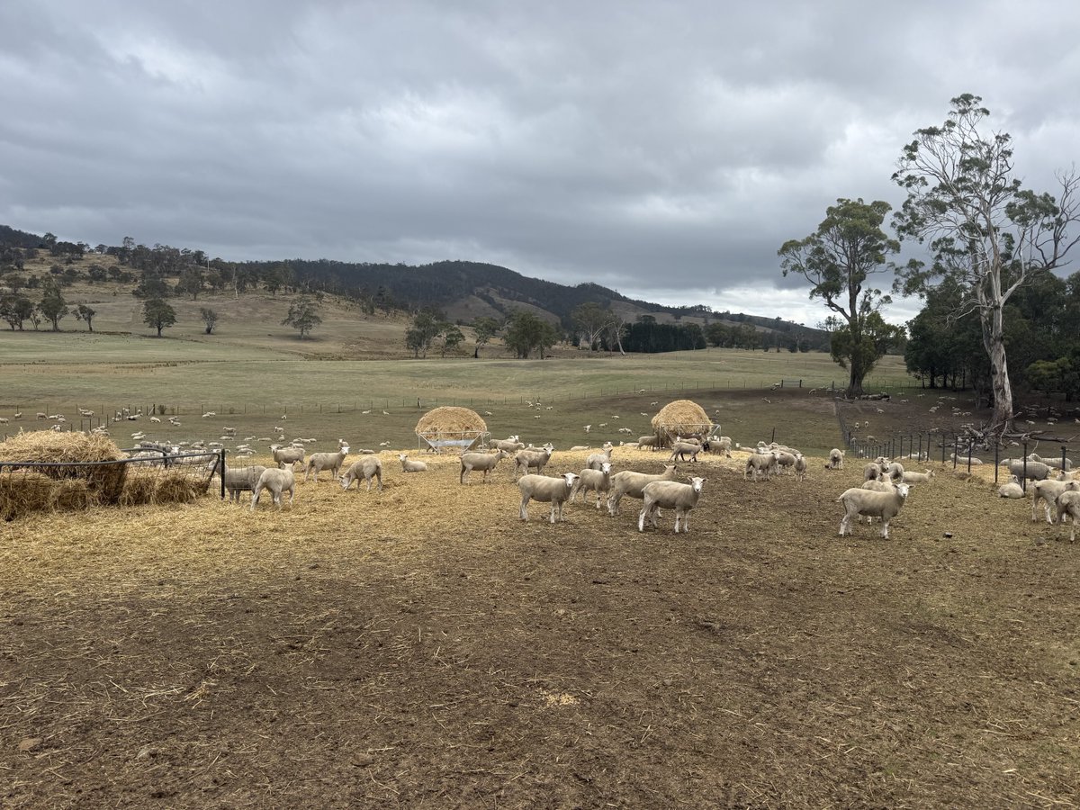 Tim Leeming tweet media