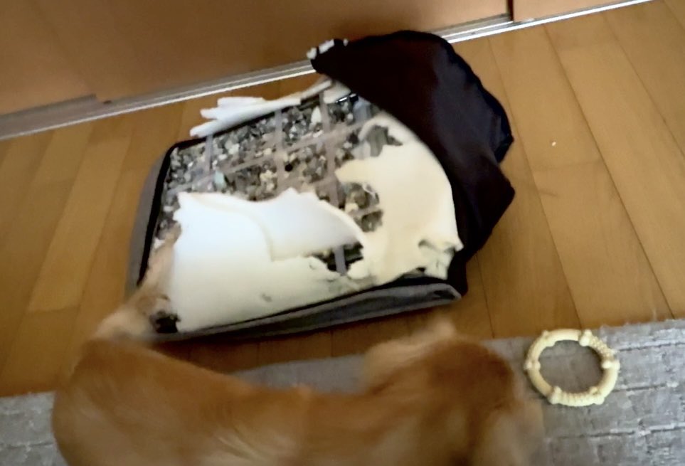 あみき◎yui tweet media