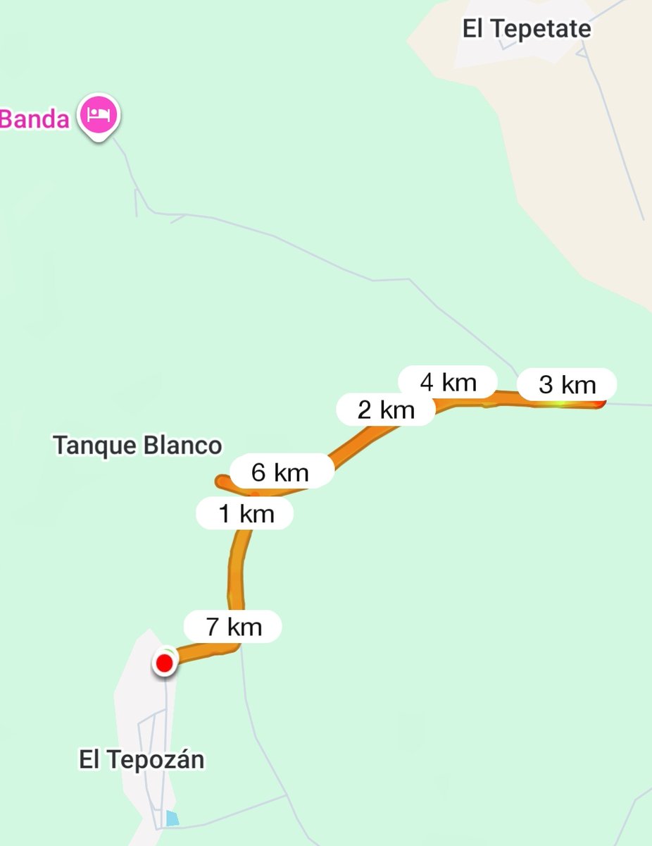 Martin Herrz tweet media