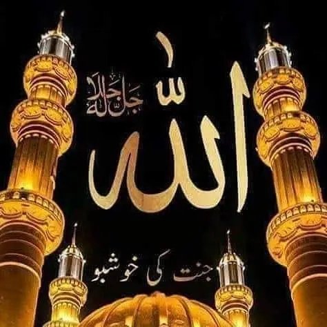 🌻 ڈاکْٹَرُ عَفْرَاءُ اَعْوَانِ مَلِکْ💫 tweet media