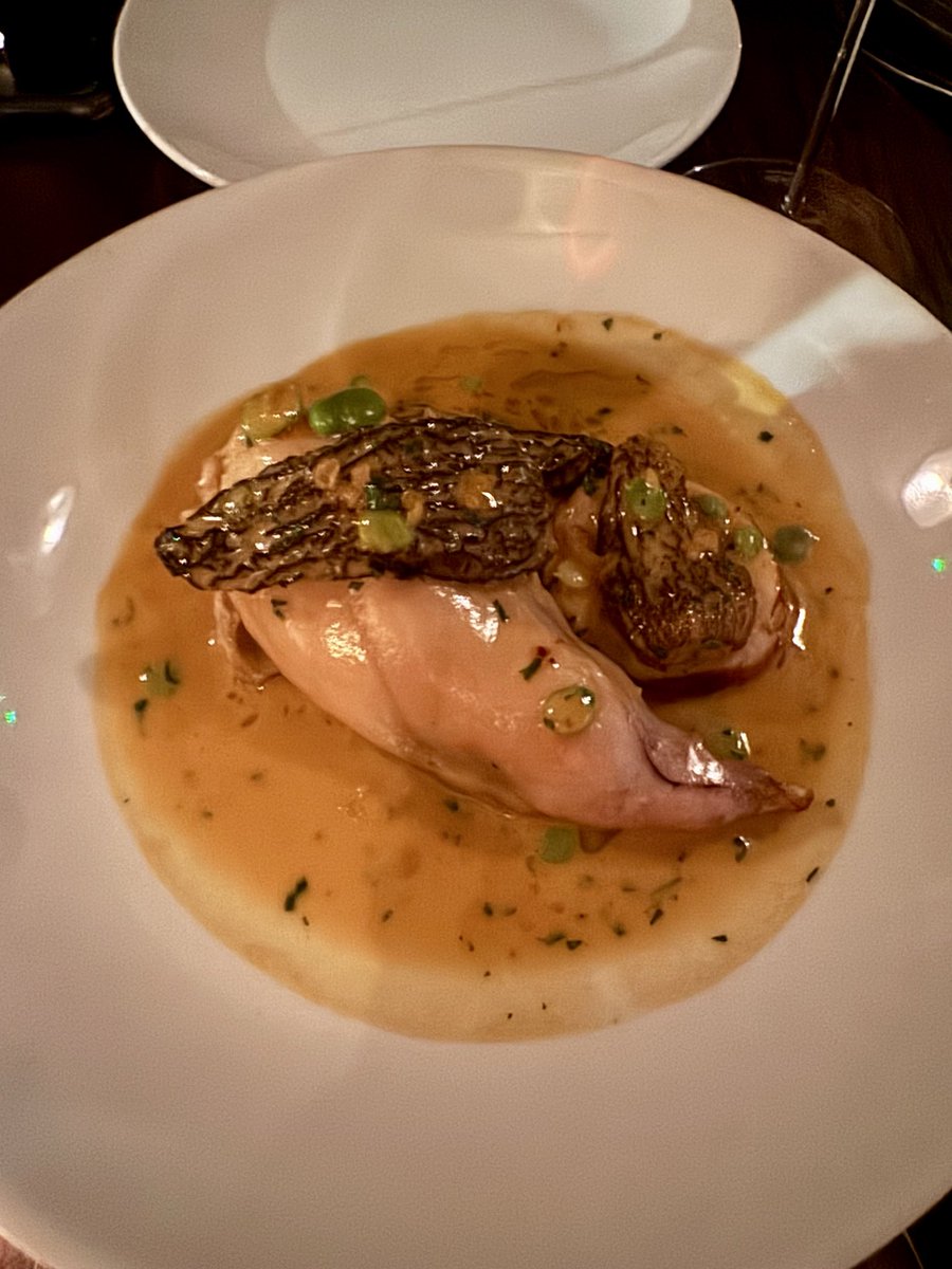 Jungle Rock tweet media