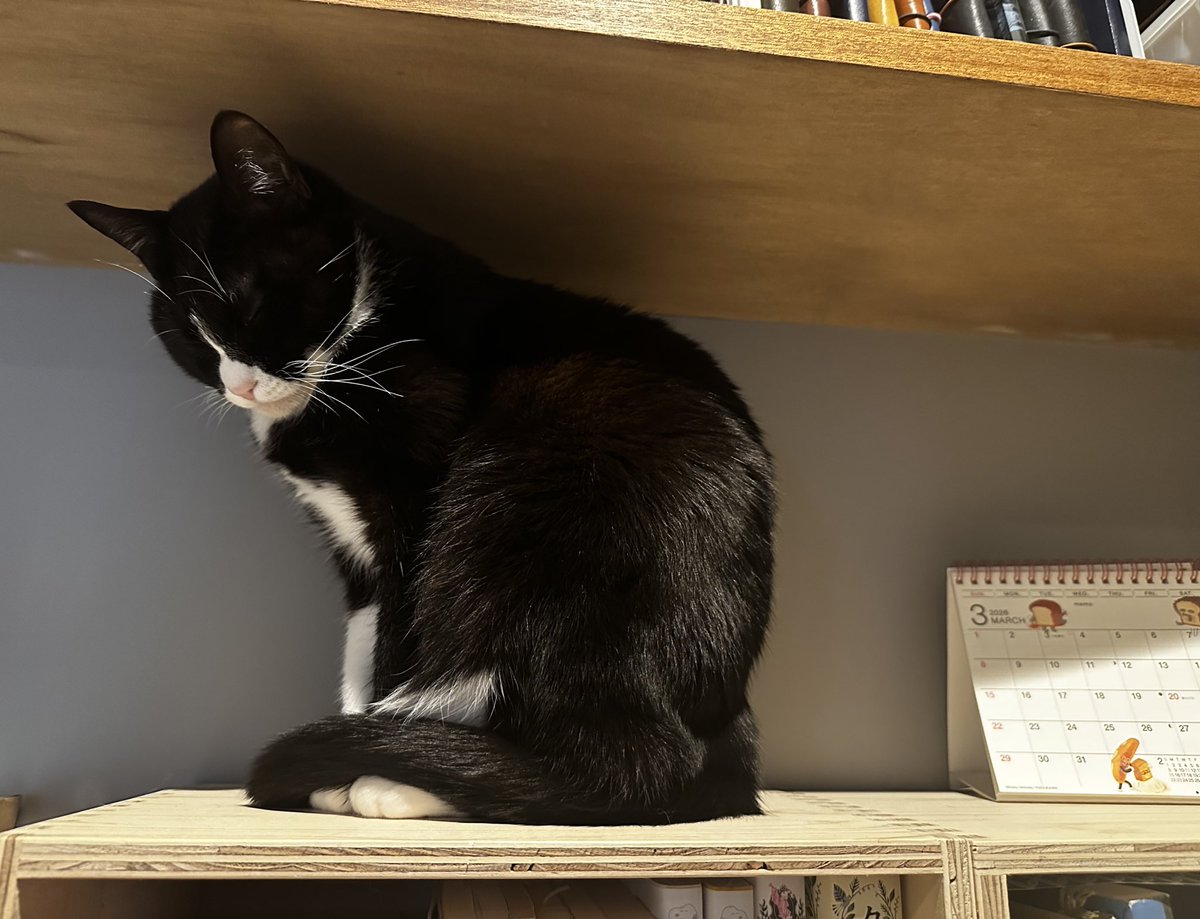 アンとミシェル Anne & Michelle tweet media