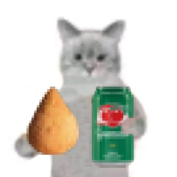 gatos fazendo gatices tweet media