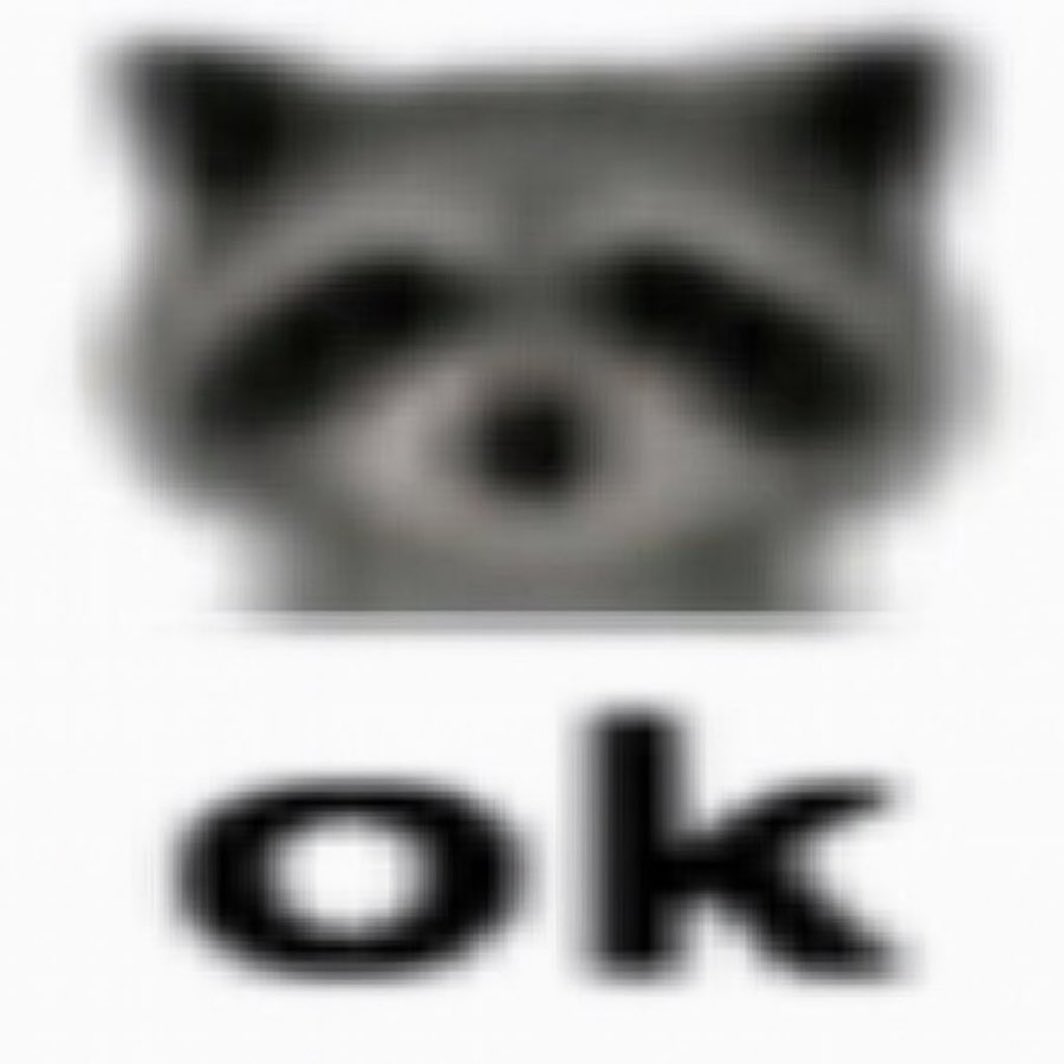 Why you should have a Raccoon tweet media